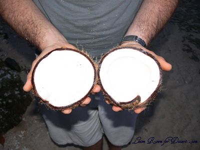 A coconut we found on the beach - Nick cracked it opened, over 10 minutes, then we ate it for dinner