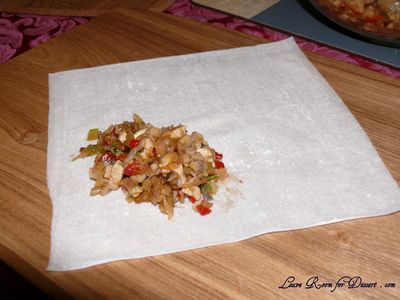 Place Filling on Spring Roll Sheet