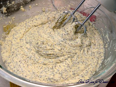 poppyseed_mixing Mix all ingredients together and beat until mixture lightens in colour