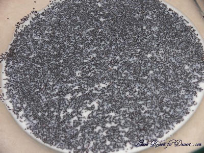 poppyseed_soak Soaking poppyseeds