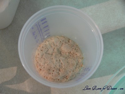 cchcb_yeast Activated yeast