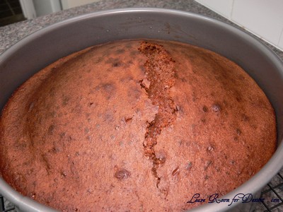 flourlesschoccake07