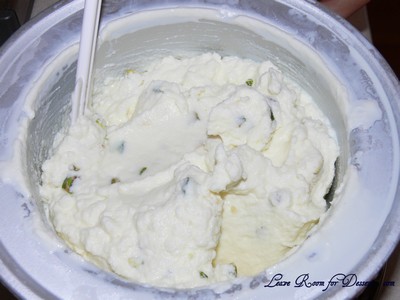 kulfi09