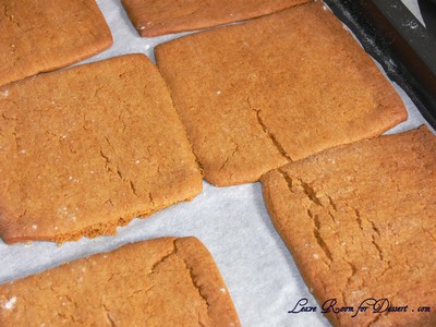 GrahamWafers&NanaimoBars04