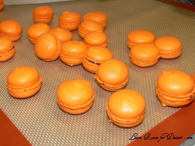 SavourSchool04