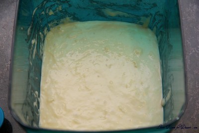 SourdoughDB01