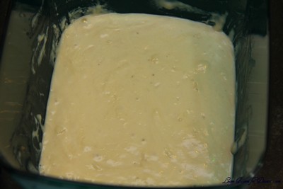 SourdoughDB02