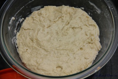 SourdoughDB03