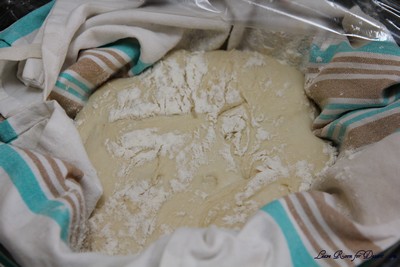 SourdoughDB08
