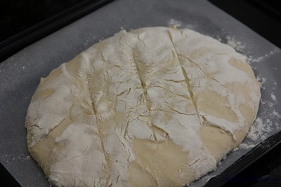 SourdoughDB09
