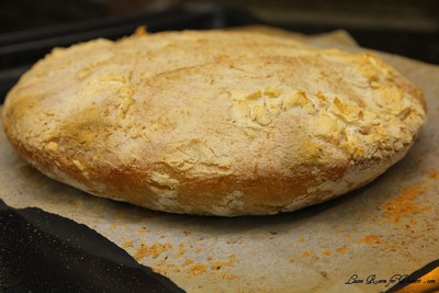 SourdoughDB10
