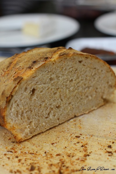 SourdoughDB17