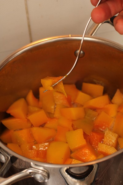 PumpkinFritters03