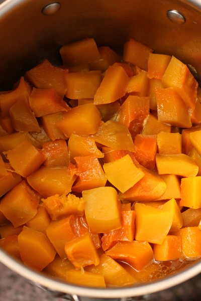 PumpkinFritters04
