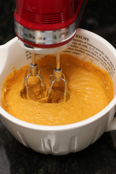 PumpkinFritters07