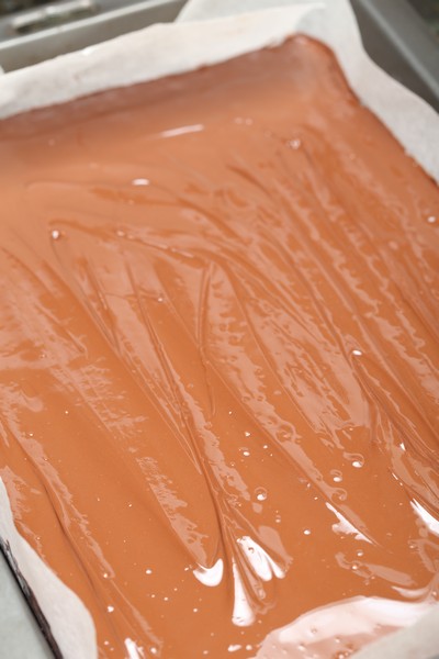 Caramel Slice